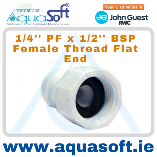 1/4'' PF x 1/2'' BSP Female Thread - CI450814FW